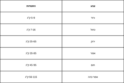 Table with Hebrew text on a white background